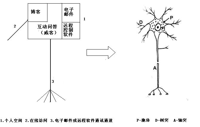 互联网虚拟大脑的科学意义 - 刘锋 - 互联网进化论--刘锋